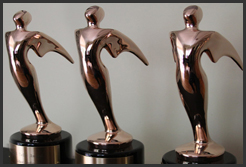 Telly Award 2010-2011